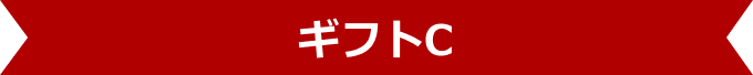 ライディングジャケット